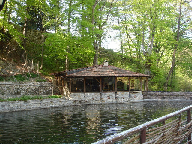 Dsc01266