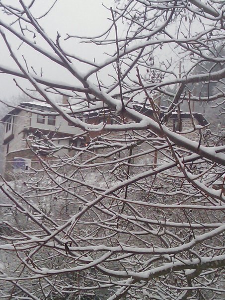 Snow5