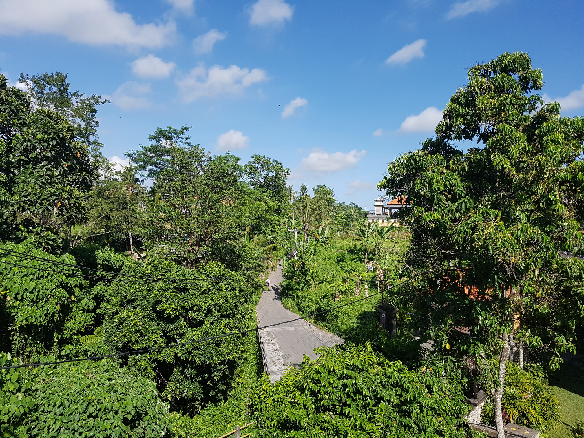 View
