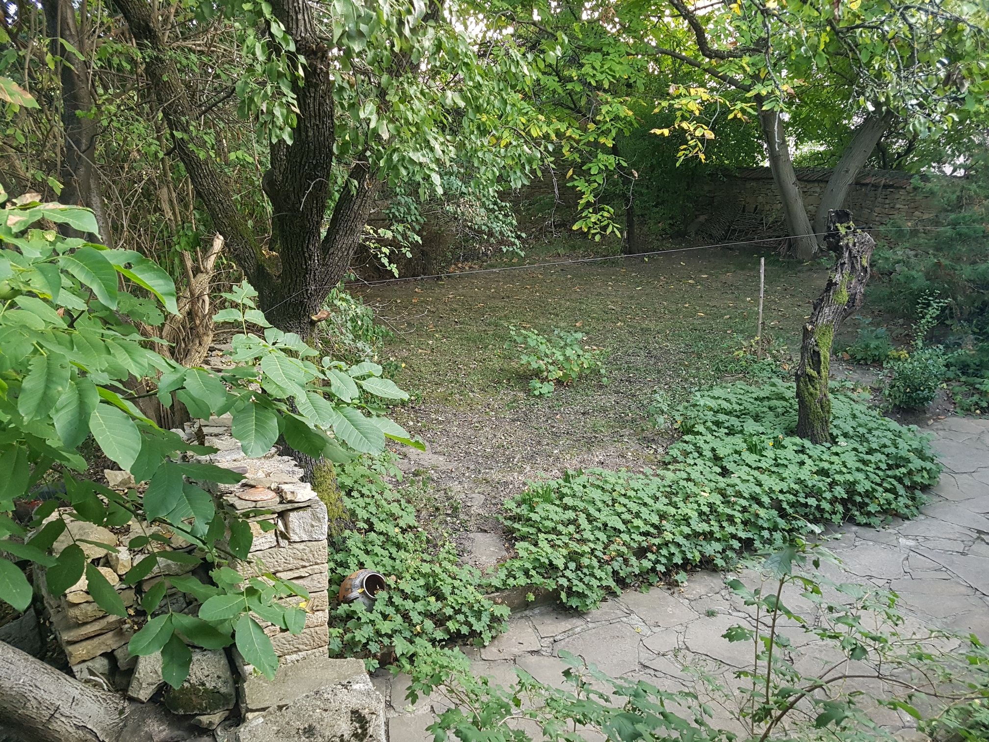 Bdvor2
