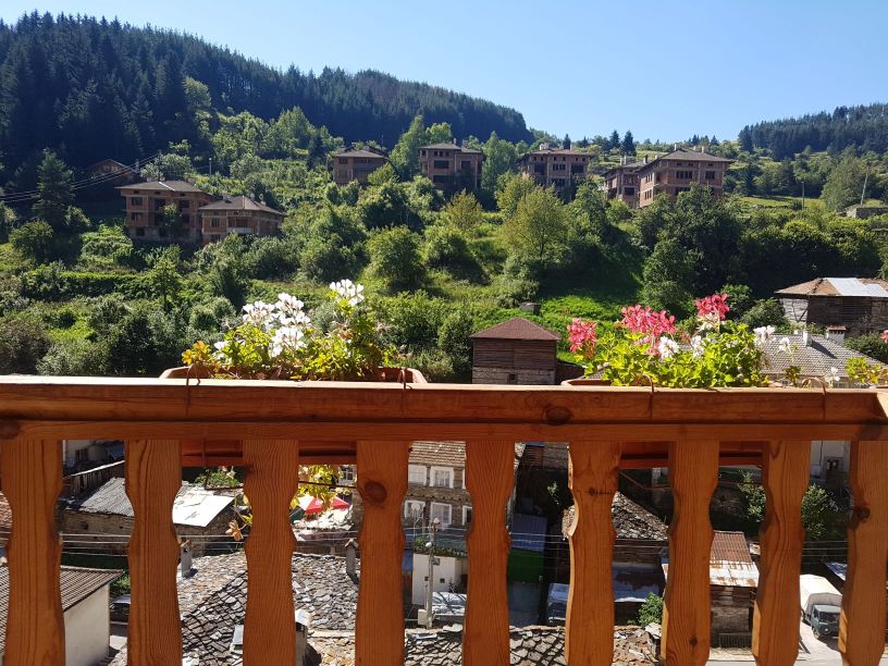 View1