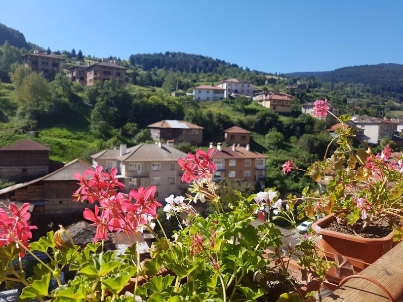 Aaview